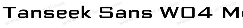Tanseek Sans W04 Medium字体转换